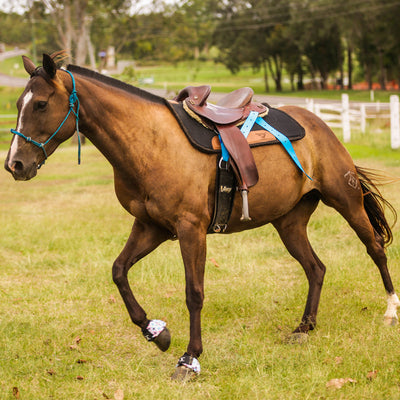 Double Diamond 1-3/4" Wide Heavy Duty Latigo and Off Billet - Swirl