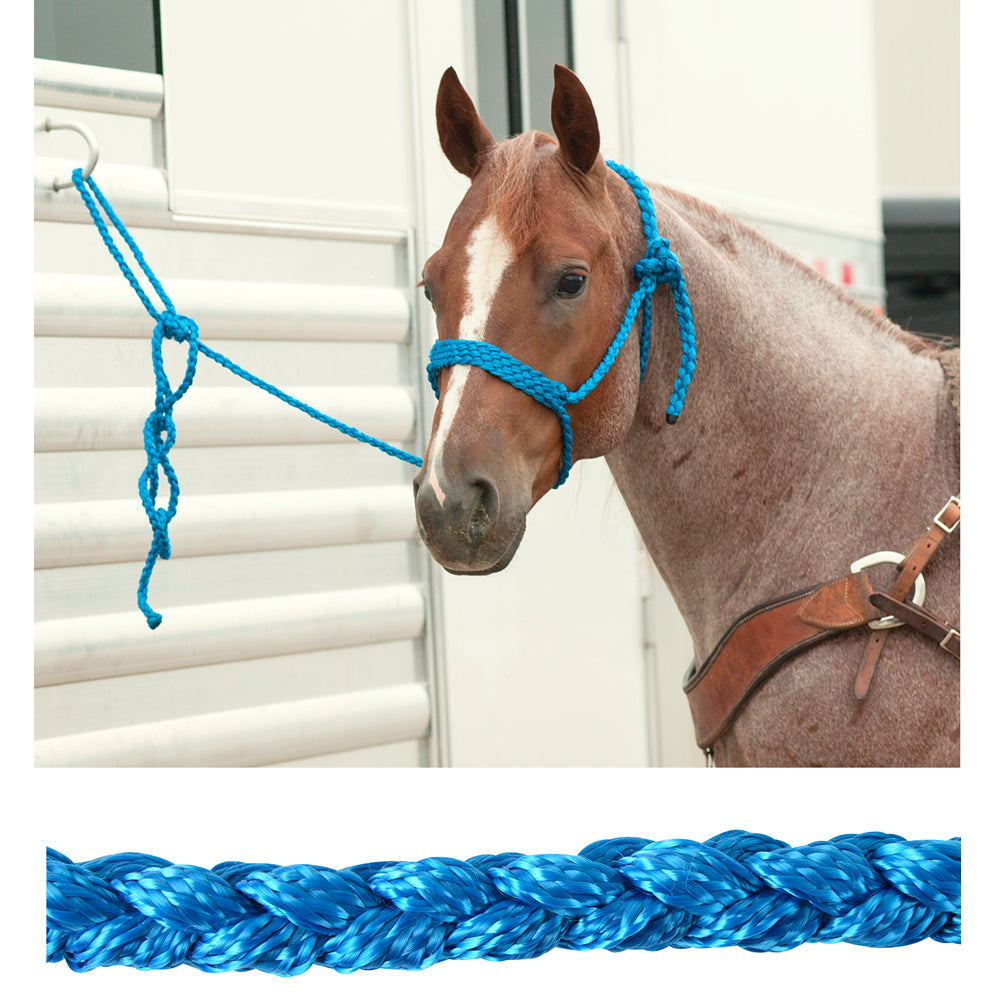 Classic Equine Wide Nose Mule Tape Halter with Lead