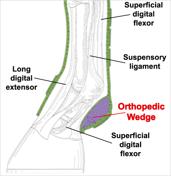 Iconoclast Black Rehabilitation Boots